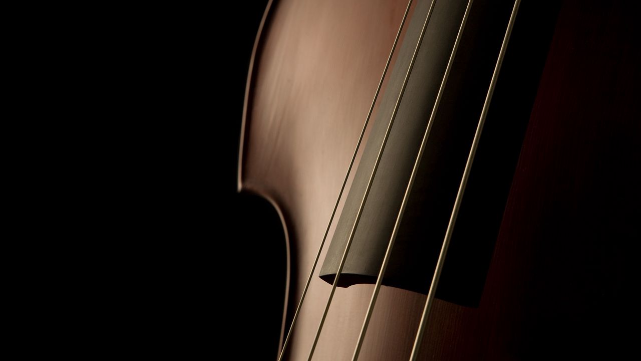 Wallpaper violin, shape, strings, elegant, refined