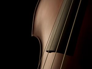 Preview wallpaper violin, shape, strings, elegant, refined