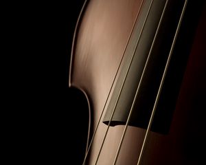 Preview wallpaper violin, shape, strings, elegant, refined