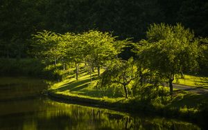 Preview wallpaper virginia, park, lake, nature, trees