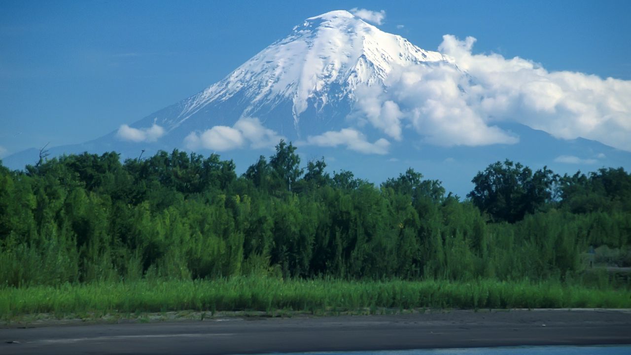 Wallpaper volcano, kamchatka, wood