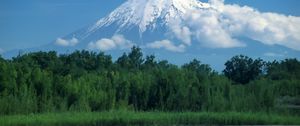 Preview wallpaper volcano, kamchatka, wood