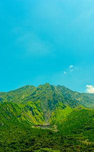 Preview wallpaper volcano, mountain, trees, grass, green, japan