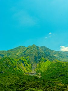 Preview wallpaper volcano, mountain, trees, grass, green, japan