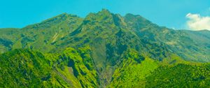 Preview wallpaper volcano, mountain, trees, grass, green, japan