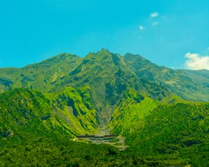 Preview wallpaper volcano, mountain, trees, grass, green, japan