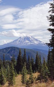 Preview wallpaper volcano, peak, clouds, spruce, trees, hills