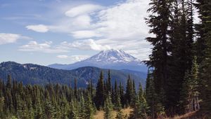 Preview wallpaper volcano, peak, clouds, spruce, trees, hills