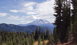 Preview wallpaper volcano, peak, clouds, spruce, trees, hills