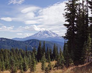 Preview wallpaper volcano, peak, clouds, spruce, trees, hills