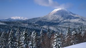 Preview wallpaper volcano, sleeping, top, mountain, cloud, fir-trees, snow, winter