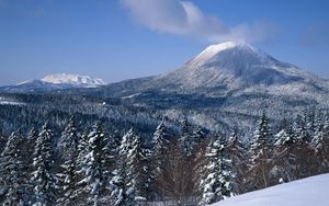 Preview wallpaper volcano, sleeping, top, mountain, cloud, fir-trees, snow, winter