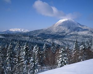 Preview wallpaper volcano, sleeping, top, mountain, cloud, fir-trees, snow, winter