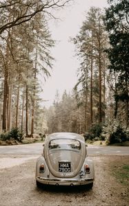 Preview wallpaper volkswagen beetle, volkswagen, car, gray, retro