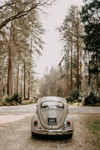 Preview wallpaper volkswagen beetle, volkswagen, car, gray, retro