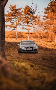 Preview wallpaper volkswagen, car, gray, trees, autumn