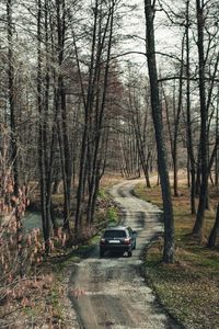 Preview wallpaper volkswagen, car, suv, black, road, forest