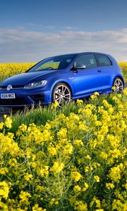 Preview wallpaper volkswagen, golf r, mk7, flowers, field