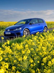 Preview wallpaper volkswagen, golf r, mk7, flowers, field