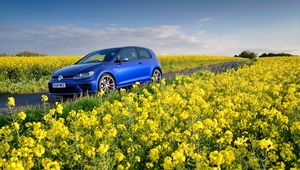 Preview wallpaper volkswagen, golf r, mk7, flowers, field