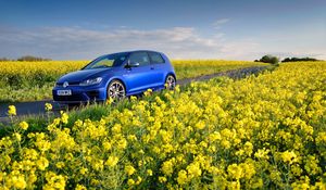 Preview wallpaper volkswagen, golf r, mk7, flowers, field