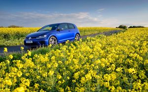 Preview wallpaper volkswagen, golf r, mk7, flowers, field