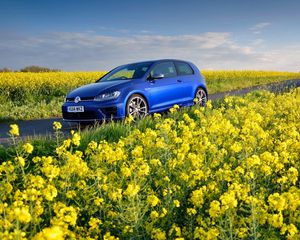 Preview wallpaper volkswagen, golf r, mk7, flowers, field