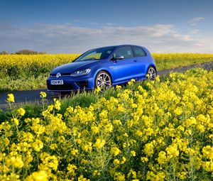 Preview wallpaper volkswagen, golf r, mk7, flowers, field