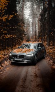 Preview wallpaper volvo, car, gray, forest, autumn