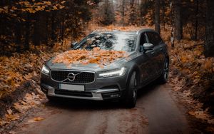 Preview wallpaper volvo, car, gray, forest, autumn