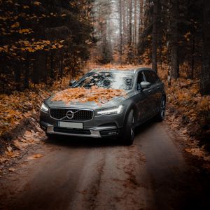 Preview wallpaper volvo, car, gray, forest, autumn