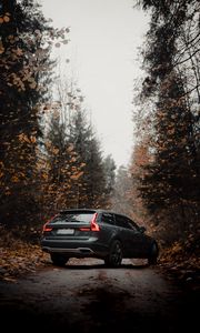 Preview wallpaper volvo v90, volvo, car, gray, forest, autumn