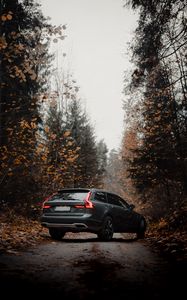 Preview wallpaper volvo v90, volvo, car, gray, forest, autumn