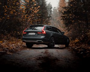 Preview wallpaper volvo v90, volvo, car, gray, forest, autumn