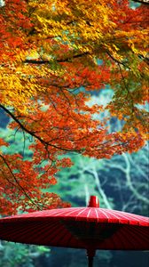 Preview wallpaper wagasa, japanese umbrella, leaves, autumn