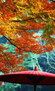 Preview wallpaper wagasa, japanese umbrella, leaves, autumn