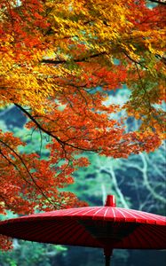 Preview wallpaper wagasa, japanese umbrella, leaves, autumn