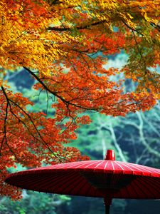 Preview wallpaper wagasa, japanese umbrella, leaves, autumn