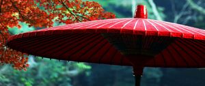 Preview wallpaper wagasa, japanese umbrella, leaves, autumn