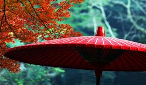 Preview wallpaper wagasa, japanese umbrella, leaves, autumn