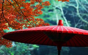 Preview wallpaper wagasa, japanese umbrella, leaves, autumn