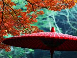 Preview wallpaper wagasa, japanese umbrella, leaves, autumn