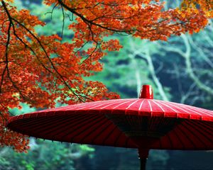 Preview wallpaper wagasa, japanese umbrella, leaves, autumn