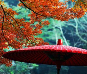 Preview wallpaper wagasa, japanese umbrella, leaves, autumn