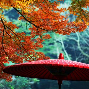 Preview wallpaper wagasa, japanese umbrella, leaves, autumn