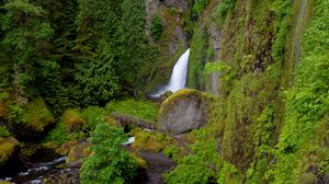 Portland Oregon Photos, Download The BEST Free Portland Oregon Stock Photos  & HD Images