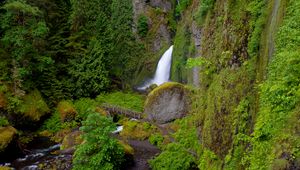 Preview wallpaper wahclella falls, oregon, waterfall, grass, hill