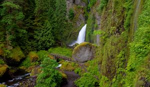 Preview wallpaper wahclella falls, oregon, waterfall, grass, hill