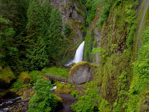 Preview wallpaper wahclella falls, oregon, waterfall, grass, hill