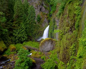 Preview wallpaper wahclella falls, oregon, waterfall, grass, hill